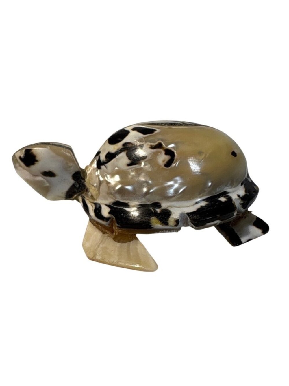 Sea Shell Turtle Figurine Natural Design Signed Cuba 2015 Unique Tropical Beachy